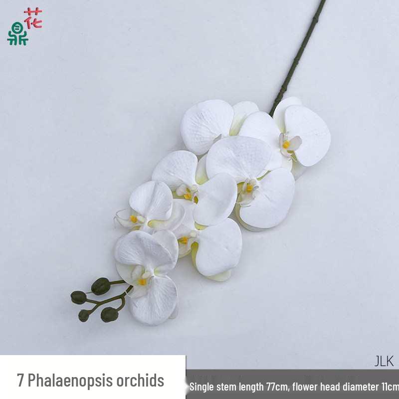 9 & 15-Headed Phalaenopsis Orchid Flower Arrangement for Weddings & Hotels - Silk Artificial Flower Display
9 & 15-Headed Phalaenopsis Orchid Flower Arrangement for Weddings & Hotels - Silk Artificial Flower Display
