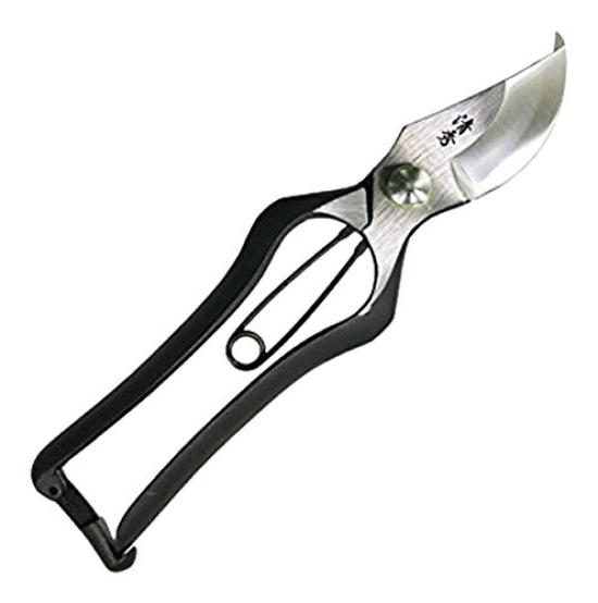 Художник Неизвестен Секатор для обрезки лезвия Цурумаки Kiyohide Золотой Стоп Стиль 0 Кузнечный
Художник Неизвестен Секатор для обрезки лезвия Цурумаки Kiyohide Золотой Стоп Стиль 0 Кузнечный