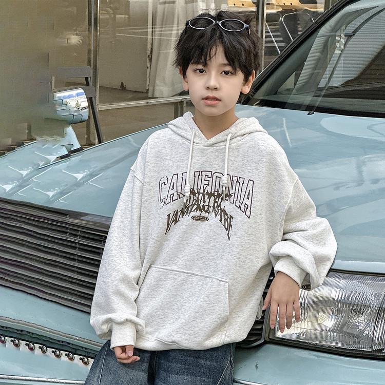 Модная толстовка с капюшоном для мальчиков в американском уличном стиле 2025 140 cm хизер серый
Модная толстовка с капюшоном для мальчиков в американском уличном стиле 2025 140 cm хизер серый