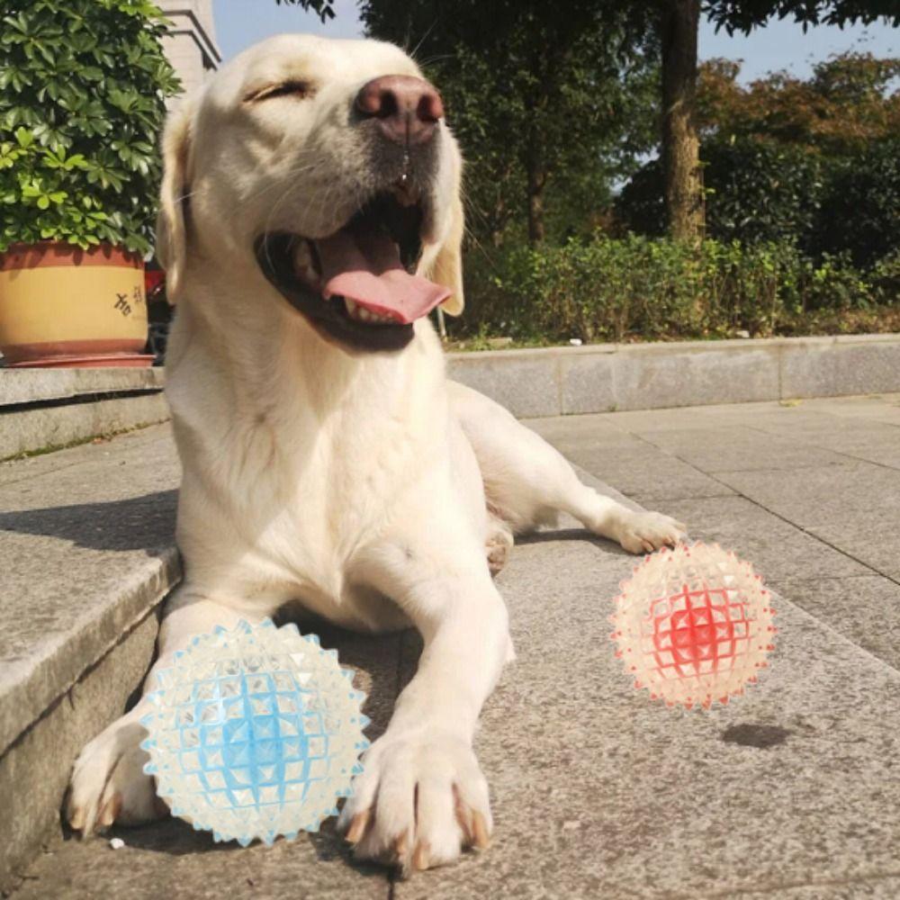 Устойчивый к укусам эластичный мяч для собак TPE Pet Chew Ball для собак с шипами на молярах для самостоятельного счастья красный
Устойчивый к укусам эластичный мяч для собак TPE Pet Chew Ball для собак с шипами на молярах для самостоятельного счастья красный