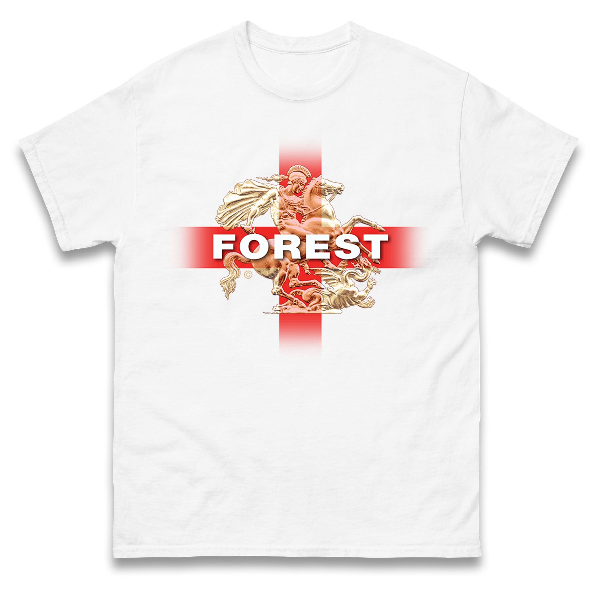 Forest St George & The Dragon Mens T Shirt Womens Tops Tees S
Forest St George & The Dragon Mens T Shirt Womens Tops Tees S