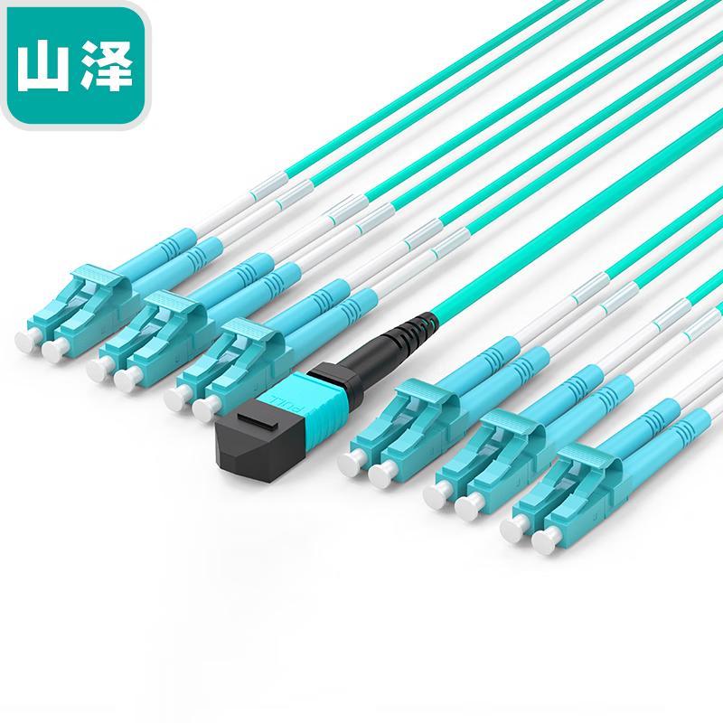 Sanze MPO-LC 12-Core OM3 Multimode Fiber Optic Patch Cable
Sanze MPO-LC 12-Core OM3 Multimode Fiber Optic Patch Cable