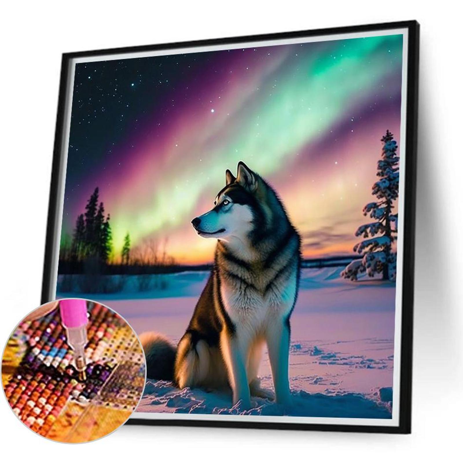 5D DIY Полный Круглый Алмазная Живопись Аврора Снежный Волк Набор Декор для Дома 40x40см China Mainland
5D DIY Полный Круглый Алмазная Живопись Аврора Снежный Волк Набор Декор для Дома 40x40см China Mainland