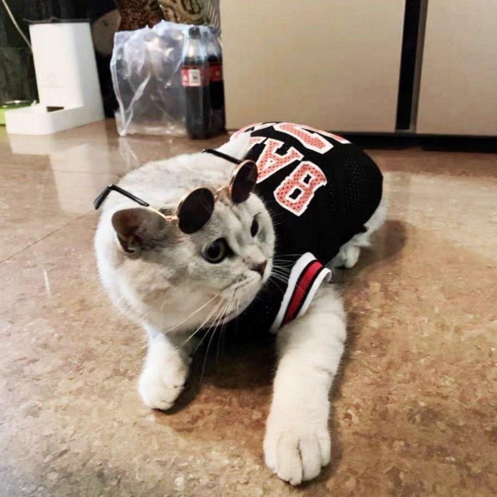 Quick Drying Polyester Fibre Mesh Pet Clothes Cat Basketball Shirts Kitten Shirts Dog Sports Vest XS чёрный
Quick Drying Polyester Fibre Mesh Pet Clothes Cat Basketball Shirts Kitten Shirts Dog Sports Vest XS чёрный
