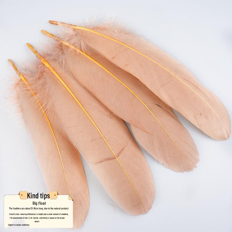 50 Large Colorful Goose Feathers for Dreamcatchers, Cat Wands, Crafts, Decor, Weddings, and Photography Props.
50 Large Colorful Goose Feathers for Dreamcatchers, Cat Wands, Crafts, Decor, Weddings, and Photography Props.