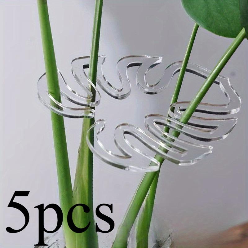 Набор из 5 прозрачных гибких зажимов для поддержки растений - Регулируемые садовые зажимы с нескользящим захватом, для помещений/улицы, теплицы, бонсай, папоротников 5pcs
Набор из 5 прозрачных гибких зажимов для поддержки растений - Регулируемые садовые зажимы с нескользящим захватом, для помещений/улицы, теплицы, бонсай, папоротников 5pcs
