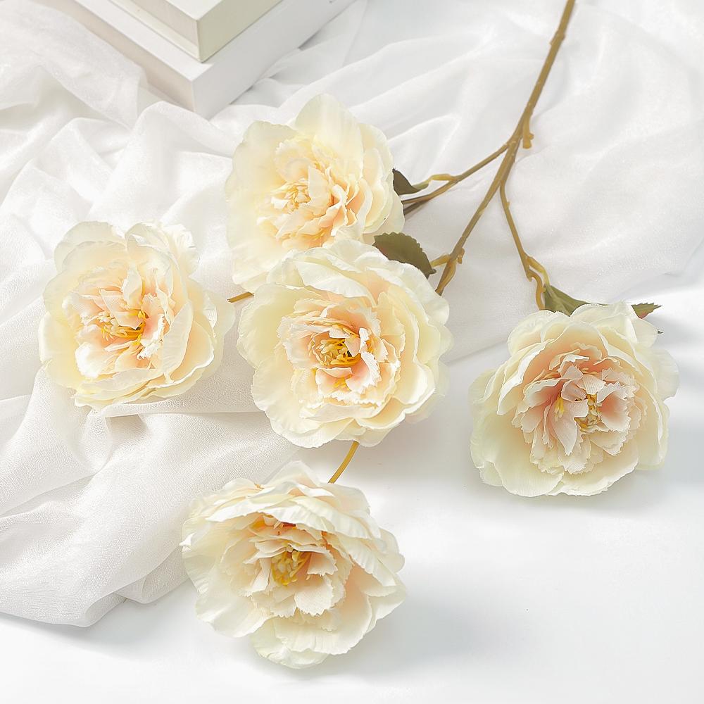 1 шт. букет из розового шелка 54 см пион искусственный цветок 5 головок бутон невеста свадебный декор украшение дома комнаты искусственные цветы 1PC молочный белый
1 шт. букет из розового шелка 54 см пион искусственный цветок 5 головок бутон невеста свадебный декор украшение дома комнаты искусственные цветы 1PC молочный белый