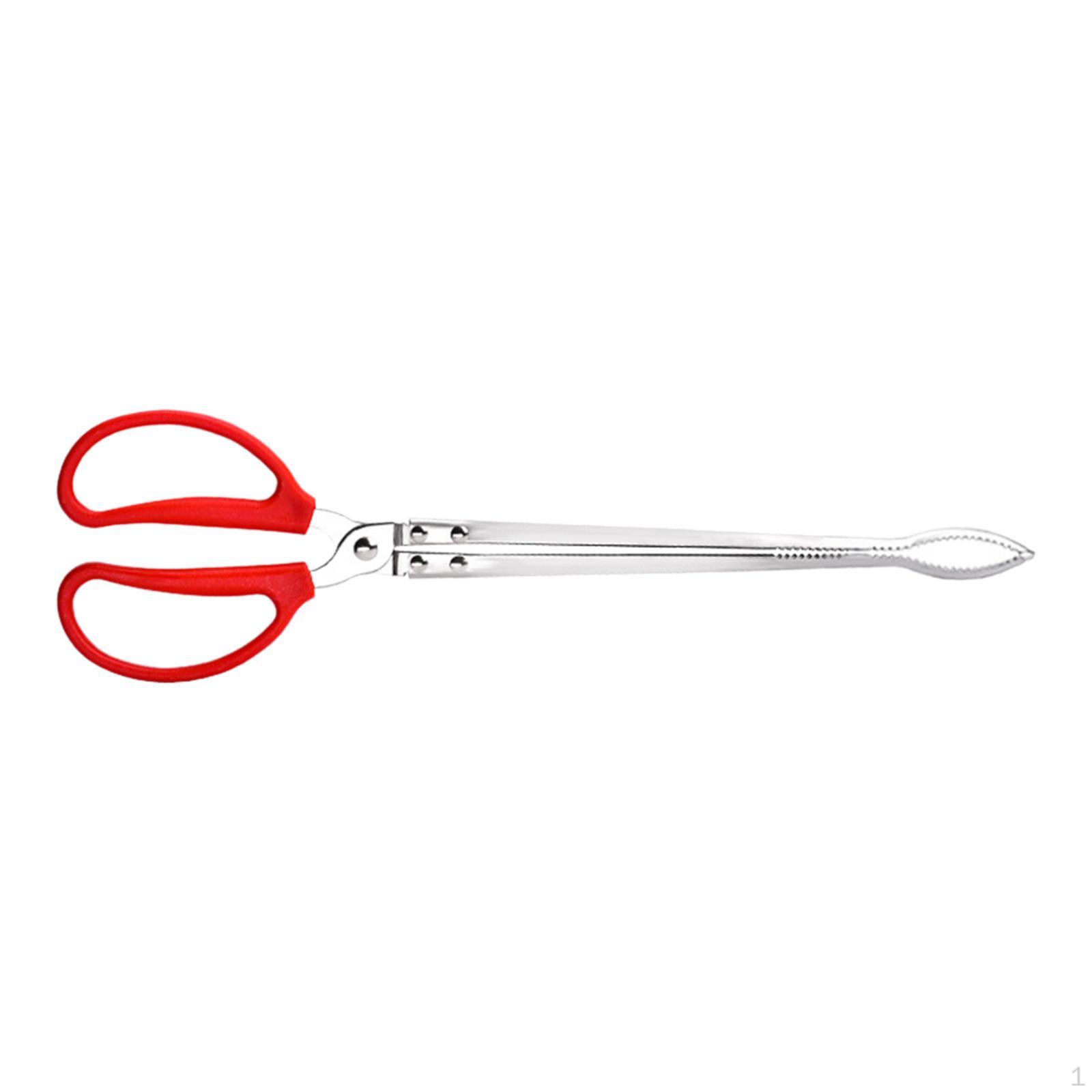 Клещи для ловли крабов из нержавеющей стали, зажим для морепродуктов, подходят и для угрей Curved Tip
Клещи для ловли крабов из нержавеющей стали, зажим для морепродуктов, подходят и для угрей Curved Tip