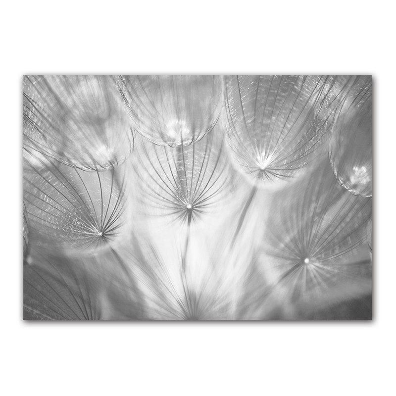 Настенные панно с цитатой из жизни, художественный принт, слова любви, холст, картина, одуванчик, художественный постер, черный, белый цвет, скандинавский Настенный декор HD2619 21x30cm no frame
Настенные панно с цитатой из жизни, художественный принт, слова любви, холст, картина, одуванчик, художественный постер, черный, белый цвет, скандинавский Настенный декор HD2619 21x30cm no frame