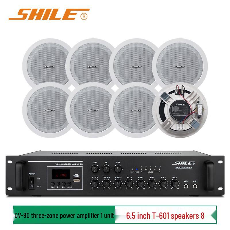 SHILE 6.5-inch Ceiling Speaker Public Address System CN plug (adapter included)
SHILE 6.5-inch Ceiling Speaker Public Address System CN plug (adapter included)