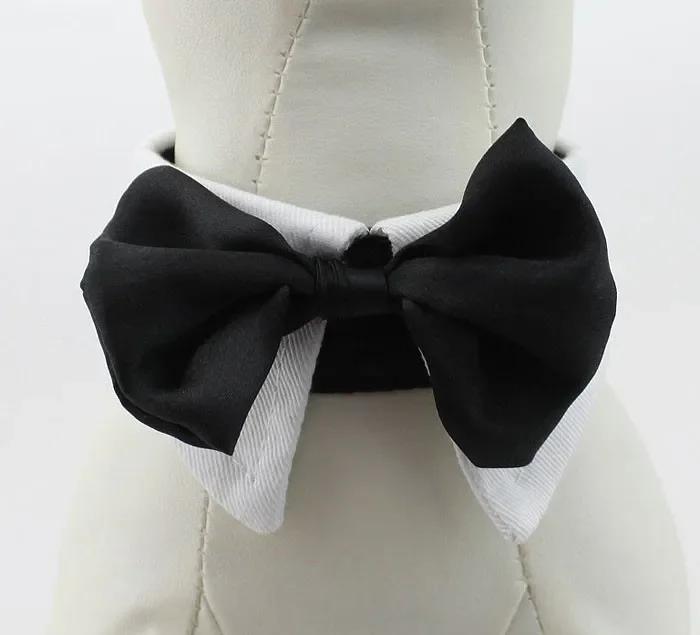Pet Dog Necktie Cat Dog Bowtie Wedding Costume Apparel Collar Big Large Dog Clothes Outfit Accessories Pet Products Dropship S Neck 19-23cm белый
Pet Dog Necktie Cat Dog Bowtie Wedding Costume Apparel Collar Big Large Dog Clothes Outfit Accessories Pet Products Dropship S Neck 19-23cm белый