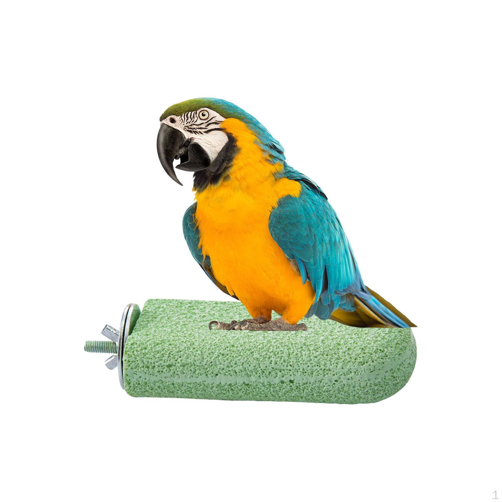 Подставка для птичьего насеста с ветками для лазанья для маленьких попугаев зелёный
Подставка для птичьего насеста с ветками для лазанья для маленьких попугаев зелёный