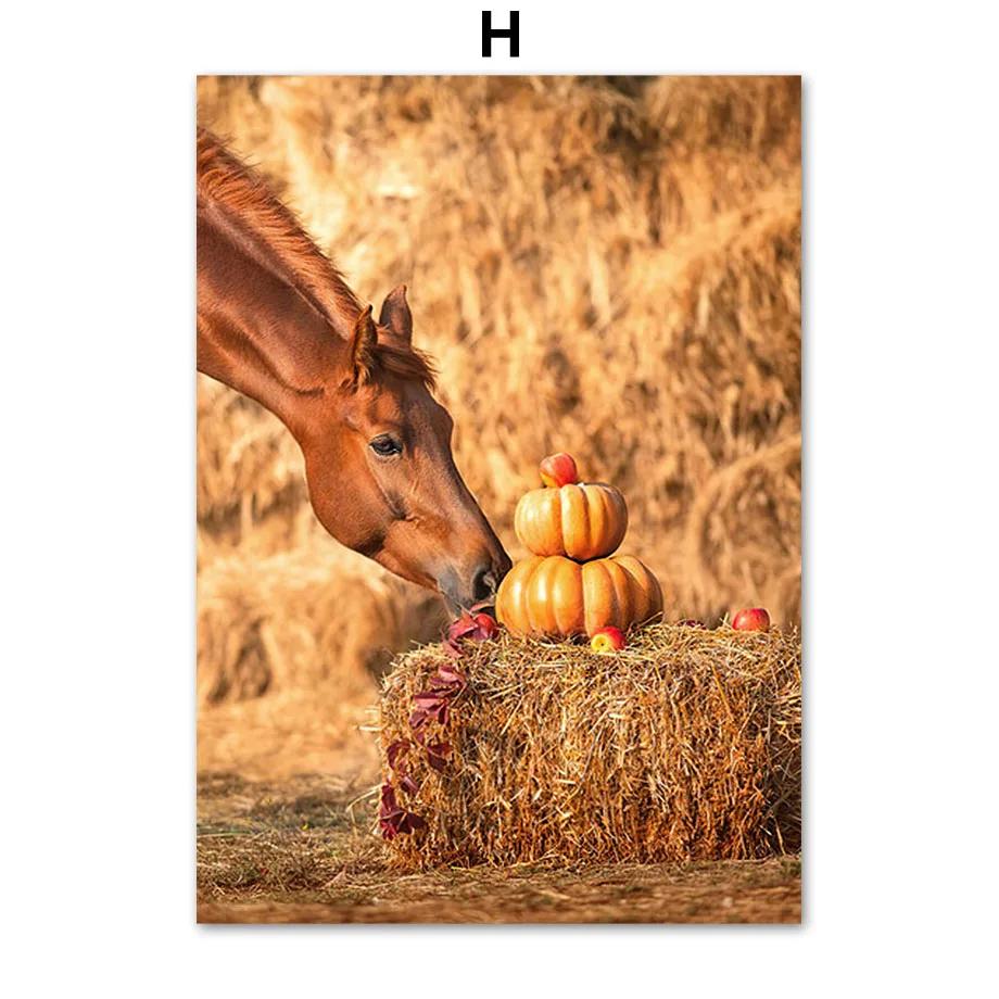 Modern Nordic Scandinavian Style Autumn Scenery Animal Poster, Landscape Canvas Painting, Print Wall Art Picture, Living Room De 21x30cm No Framed
Modern Nordic Scandinavian Style Autumn Scenery Animal Poster, Landscape Canvas Painting, Print Wall Art Picture, Living Room De 21x30cm No Framed