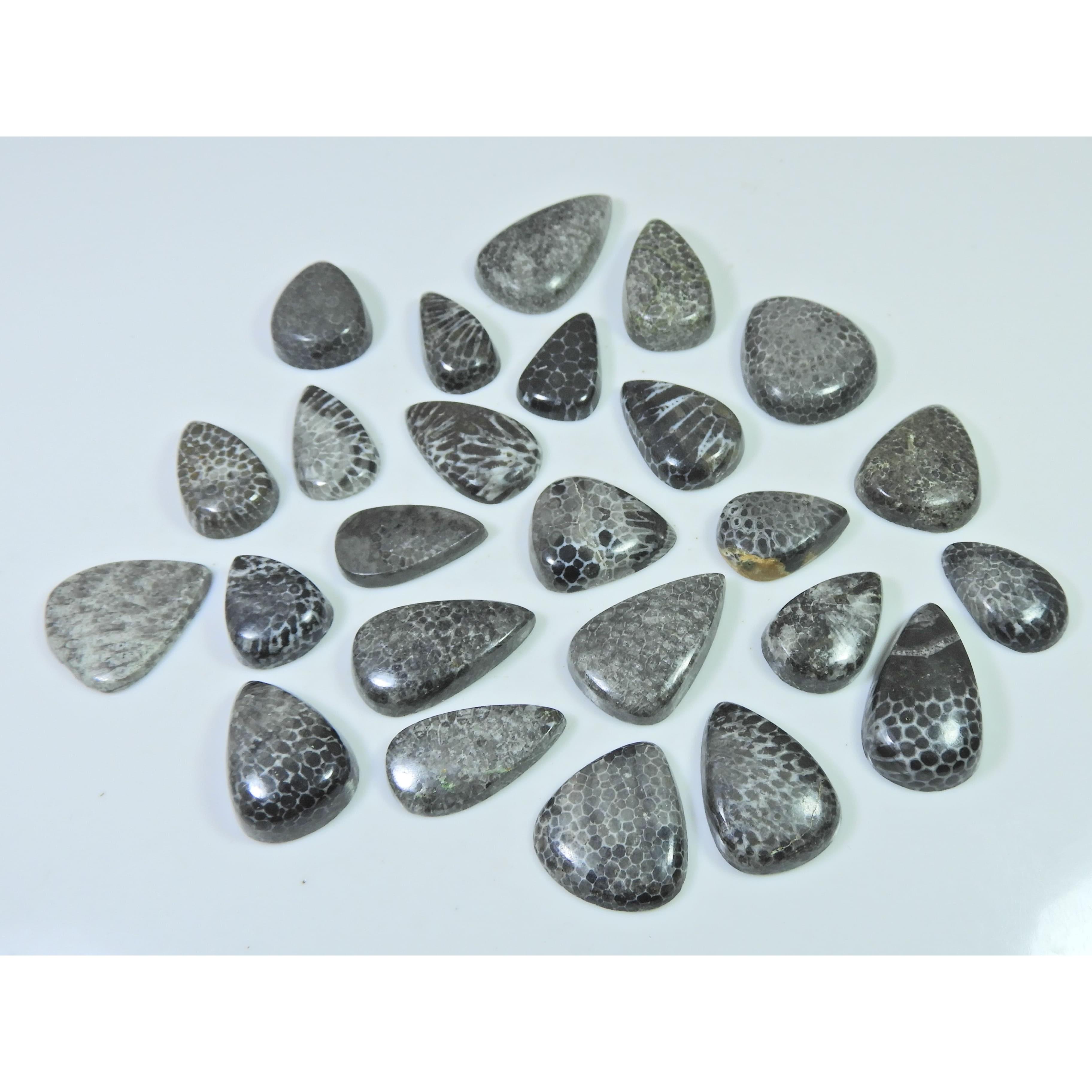 258Cts. Natural Black Fossil Coral Pear Cabochon Loose Gemstone 25 Pcs Lot C-645
258Cts. Natural Black Fossil Coral Pear Cabochon Loose Gemstone 25 Pcs Lot C-645