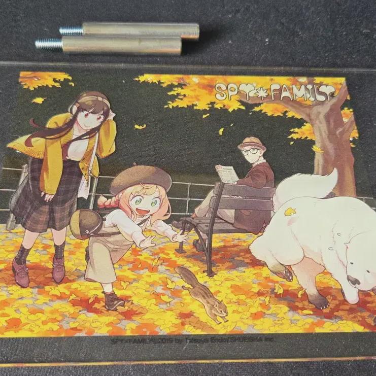 Spy Family Официальный фанбук Издание с ограниченным тиражом Акриловая подставка
Spy Family Официальный фанбук Издание с ограниченным тиражом Акриловая подставка