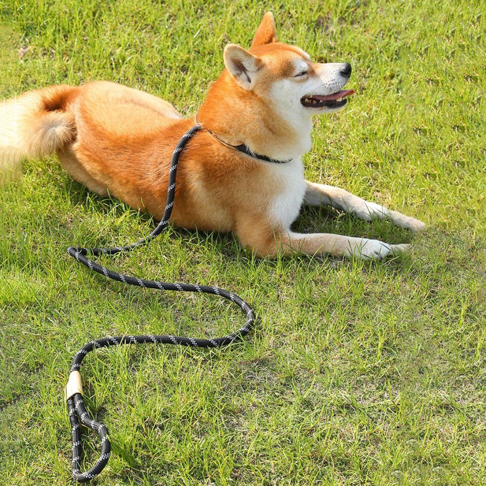 P-chain Pet Traction Rope Взрывозащищенная дрессировка собак Проскальзывание Дрессировка Дрессировка Свинец
P-chain Pet Traction Rope Взрывозащищенная дрессировка собак Проскальзывание Дрессировка Дрессировка Свинец
