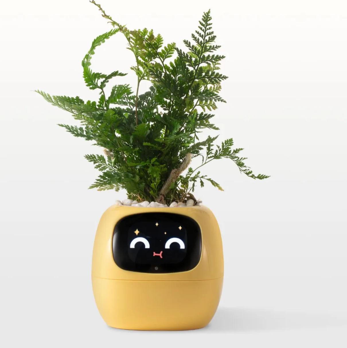 Ivy Smart Planter Бесконечное развлечение Более 49 насыщенных выражений 7 интеллектуальных датчиков и чипов искусственного интеллекта делают выращивание растений простым и увлекательным
Ivy Smart Planter Бесконечное развлечение Более 49 насыщенных выражений 7 интеллектуальных датчиков и чипов искусственного интеллекта делают выращивание растений простым и увлекательным