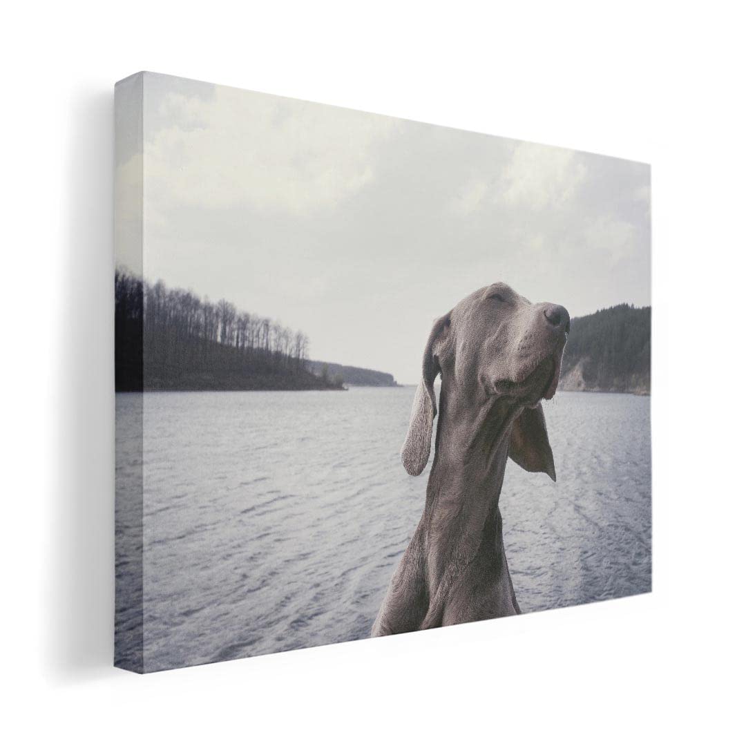 Art 420mm x Wall Wooden Stylish Interior Animal Photo Panel, Painting, Decoration, igsticker, 297mm, A3, Photo, Hanging, Frame, Decor, 023964, Dog,
Art 420mm x Wall Wooden Stylish Interior Animal Photo Panel, Painting, Decoration, igsticker, 297mm, A3, Photo, Hanging, Frame, Decor, 023964, Dog,
