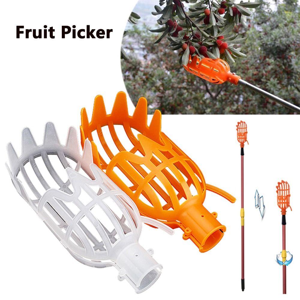Picking Fruit Picker Head Fruit Catcher Portable Picking Bayberry Tool Garden Tool білий
Picking Fruit Picker Head Fruit Catcher Portable Picking Bayberry Tool Garden Tool білий