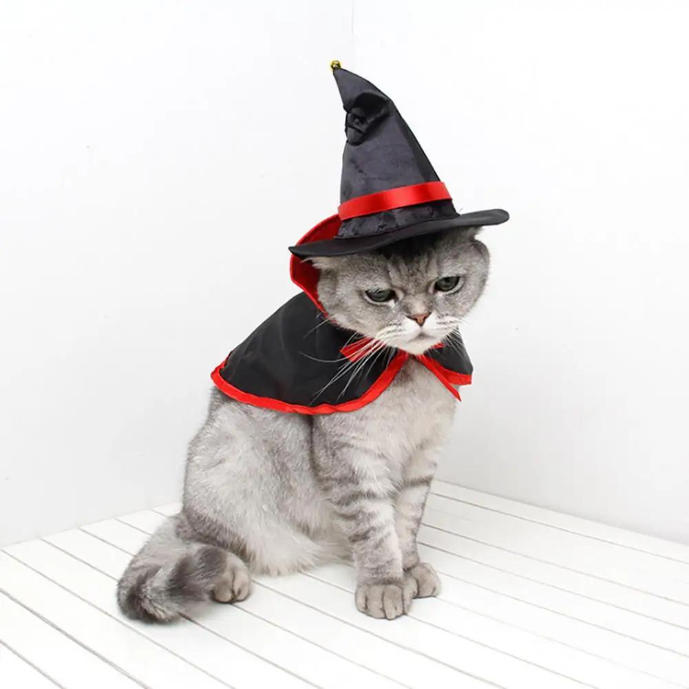 Pet Halloween Cosplay Outfit Set | For Cats & Dogs with Cape & Hat | Paw-Friendly Pet Apparel Accessories
Pet Halloween Cosplay Outfit Set | For Cats & Dogs with Cape & Hat | Paw-Friendly Pet Apparel Accessories
