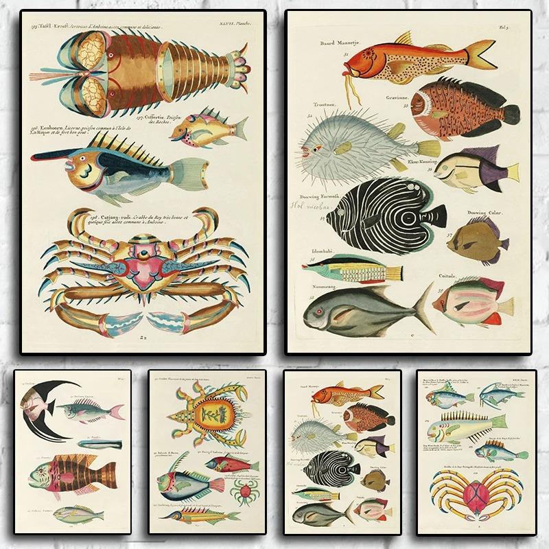 Vintage Insect Birds Fish Animal Educational Posters Home Bar Cafe Decor Art Wall Painting Wall Decor Poster Canvas Painting 21cm×30cm NoFrame
Vintage Insect Birds Fish Animal Educational Posters Home Bar Cafe Decor Art Wall Painting Wall Decor Poster Canvas Painting 21cm×30cm NoFrame