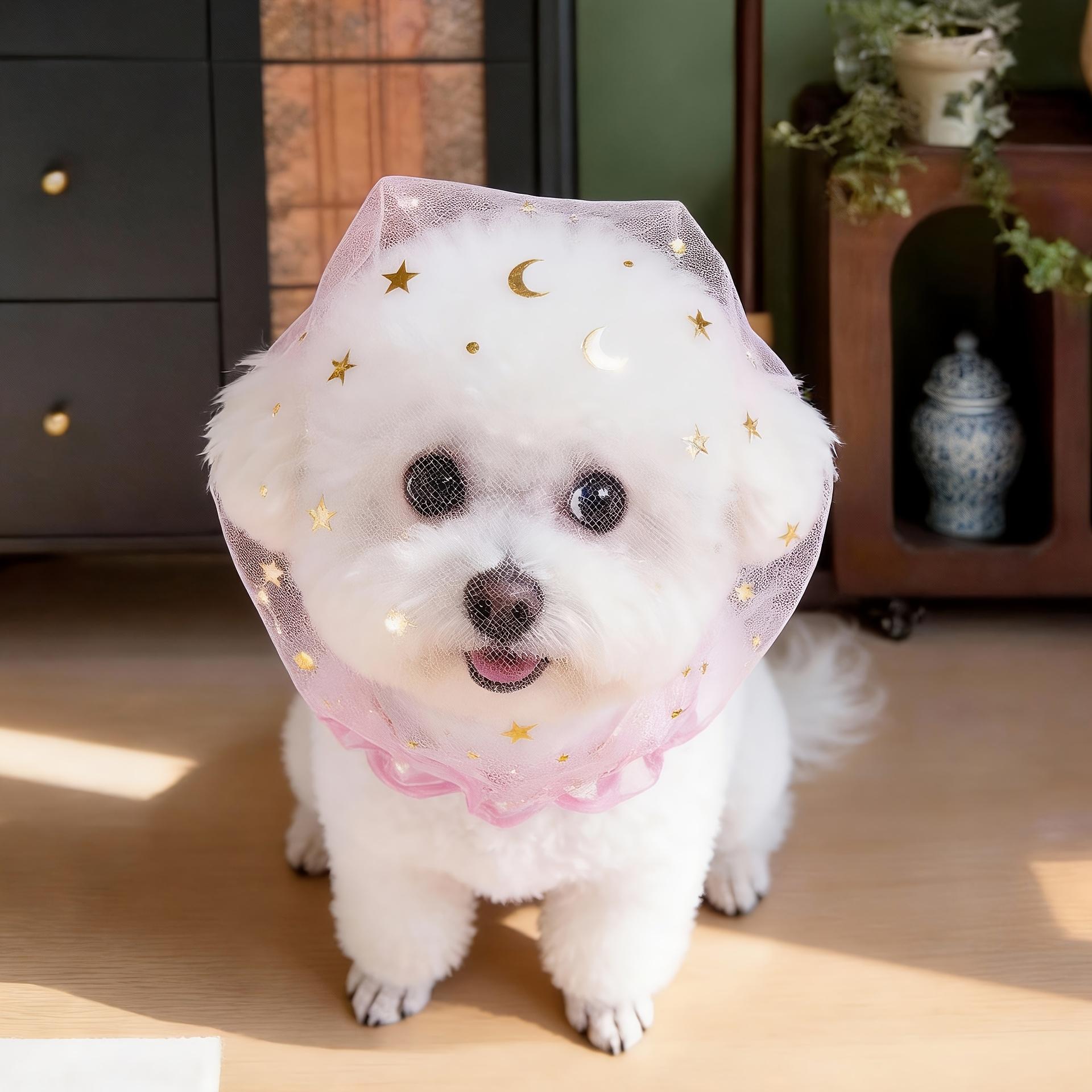 Cute Dog Muzzles for Outdoor Use to Prevent Accidental Ingestion,Comfortable Breathable,Suitable for Small to Medium-Sized Dogs рожевий
Cute Dog Muzzles for Outdoor Use to Prevent Accidental Ingestion,Comfortable Breathable,Suitable for Small to Medium-Sized Dogs рожевий