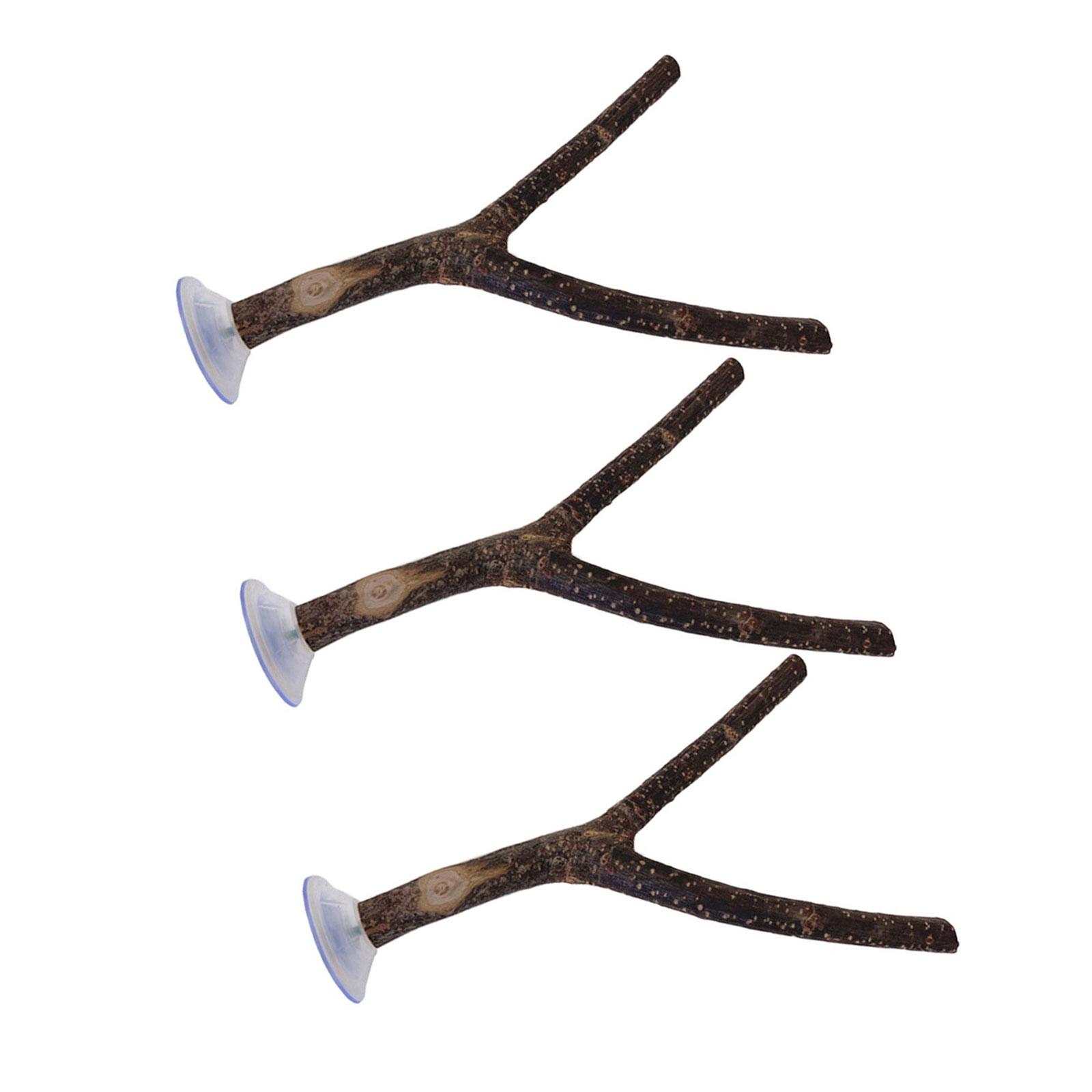 3 шт. Прочность Подставка для птиц Деревянные жердочки для птиц Подставка Столбик Инструмент для дрессировки домашних птиц Аксессуары для птичьей клетки Игрушка для питомца B
3 шт. Прочность Подставка для птиц Деревянные жердочки для птиц Подставка Столбик Инструмент для дрессировки домашних птиц Аксессуары для птичьей клетки Игрушка для питомца B