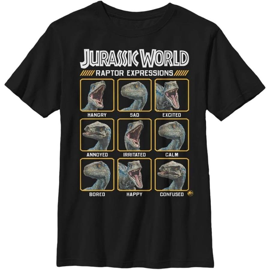 Jurassic World Fallen Kingdom Expressions of Raptor Boys Short Sleeve Tee Shirt XXXXXL різнокольоровий
Jurassic World Fallen Kingdom Expressions of Raptor Boys Short Sleeve Tee Shirt XXXXXL різнокольоровий