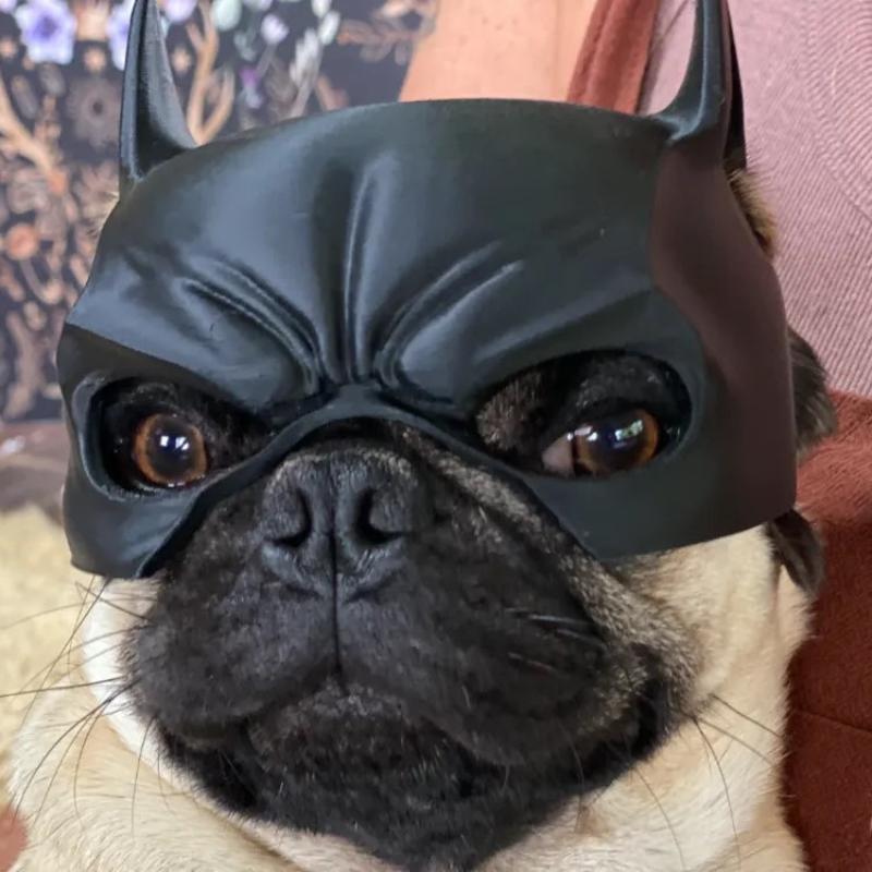 Маска Крутого Человека Летучей Мыши Собаки, Маска Мстителя Собаки, Милая Маска Летучей Мыши, Игрушки Супергероев, Костюм на Хэллоуин для Собак, Товары для Домашних Животных чёрный
Маска Крутого Человека Летучей Мыши Собаки, Маска Мстителя Собаки, Милая Маска Летучей Мыши, Игрушки Супергероев, Костюм на Хэллоуин для Собак, Товары для Домашних Животных чёрный