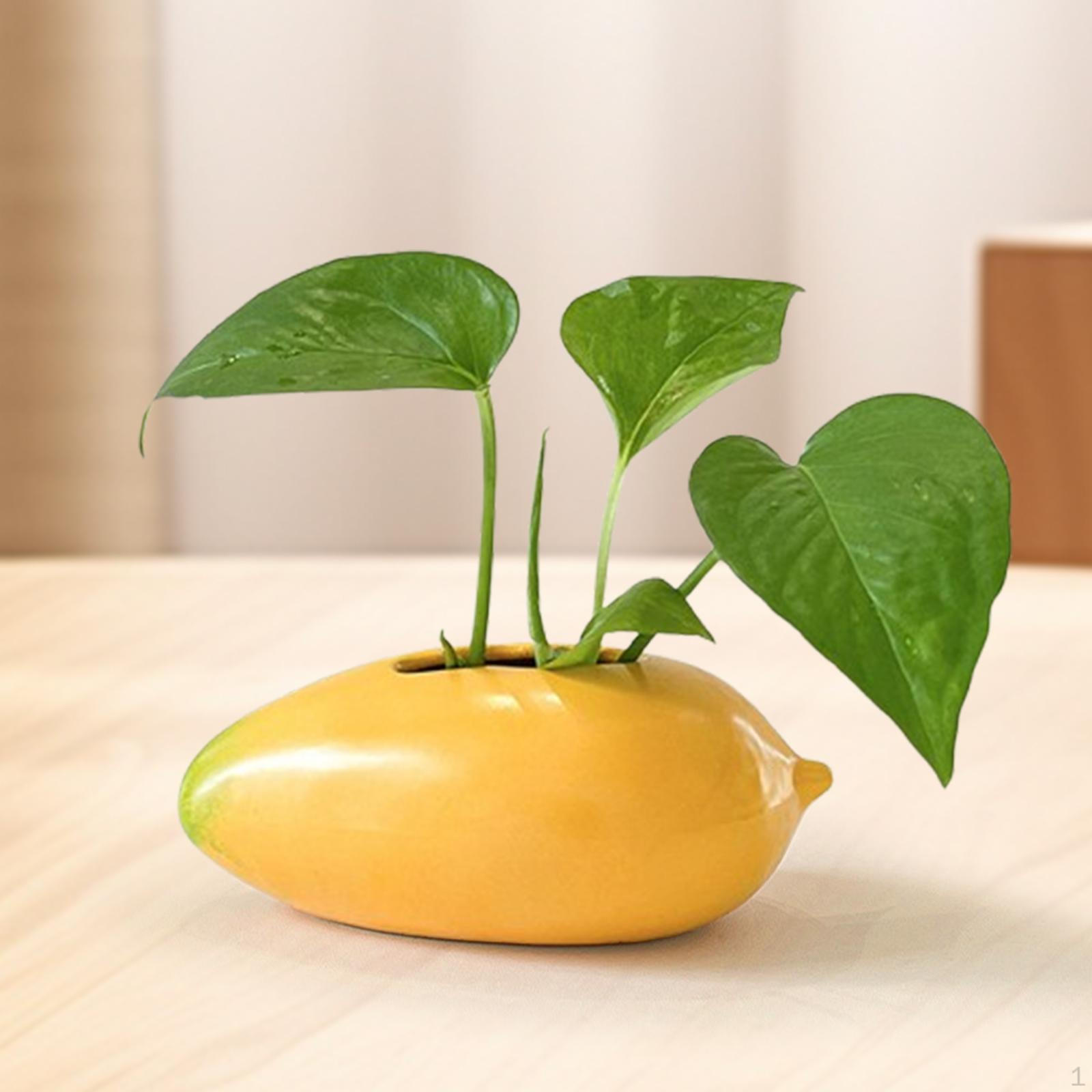 Mango Shaped Ceramic Vase,Flower Vase Ornament Bud Organizer Plant Pot Propagation for
Mango Shaped Ceramic Vase,Flower Vase Ornament Bud Organizer Plant Pot Propagation for