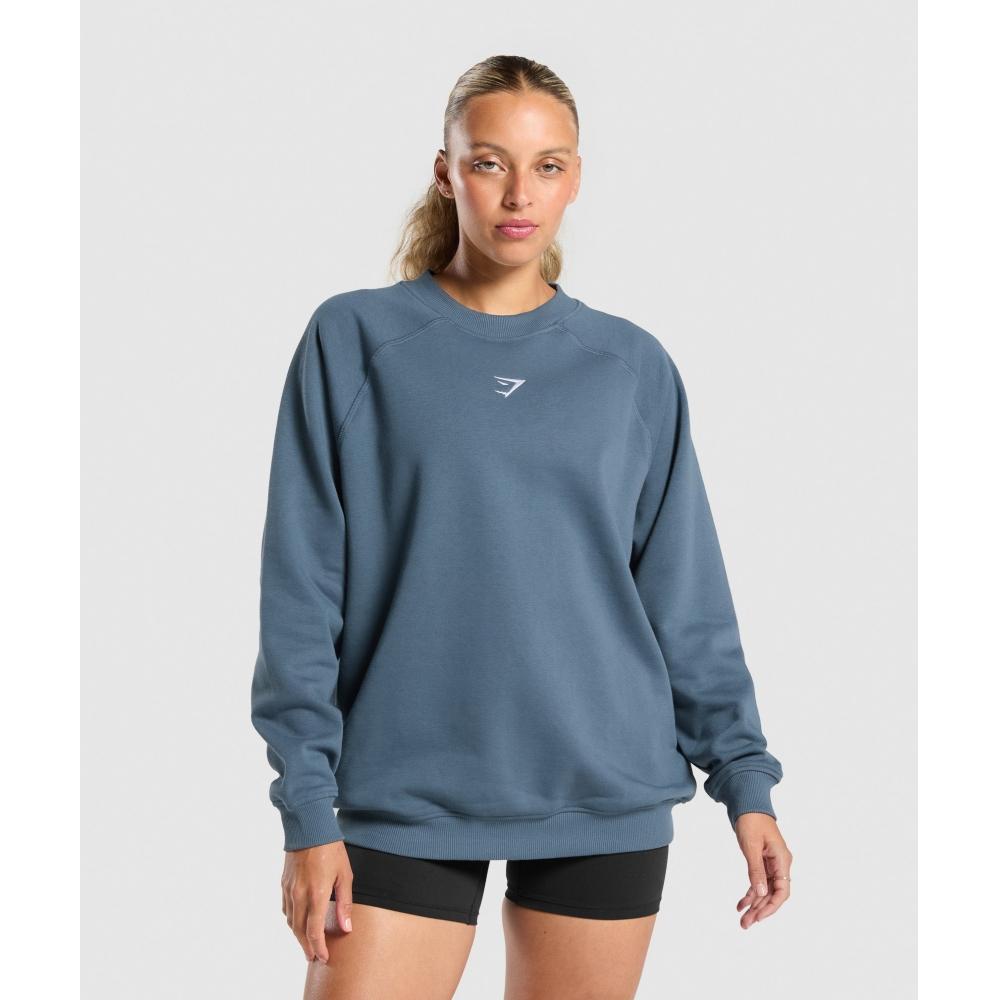 Gymshark Тренировочная флисовая толстовка свободного покроя Cargo Blue B5a9r Uctp XS
Gymshark Тренировочная флисовая толстовка свободного покроя Cargo Blue B5a9r Uctp XS