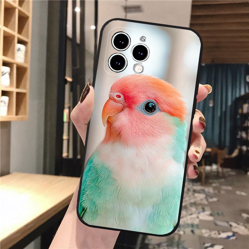 Phone Case Carcasa Funda For iPhone 17 Pro Max 17 Air 16 15 14 13 Pro Max 15 16 Pro 15Plus Bird Parrot iphone 15Pro
Phone Case Carcasa Funda For iPhone 17 Pro Max 17 Air 16 15 14 13 Pro Max 15 16 Pro 15Plus Bird Parrot iphone 15Pro