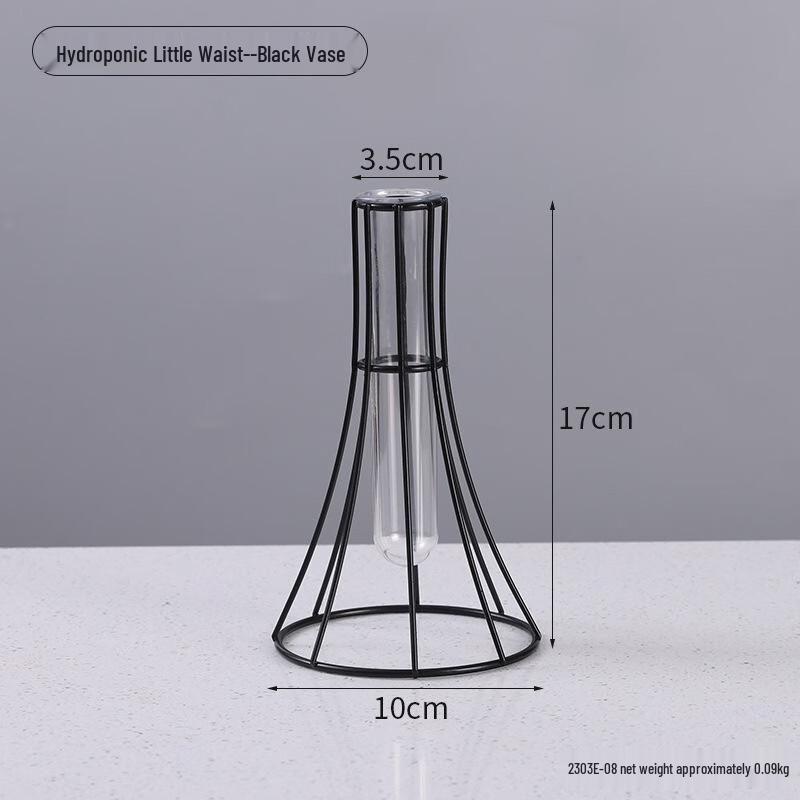 Ruijie Luxury Gold Iron Art Glass Vase
Ruijie Luxury Gold Iron Art Glass Vase