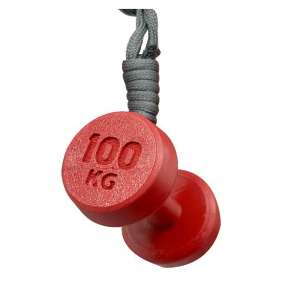 Fitness Dumbbell Kettlebell Pendant Cute Mini Sports Gym Charm Key Chain Accessories for Purse Backpack Bag Size#17
Fitness Dumbbell Kettlebell Pendant Cute Mini Sports Gym Charm Key Chain Accessories for Purse Backpack Bag Size#17