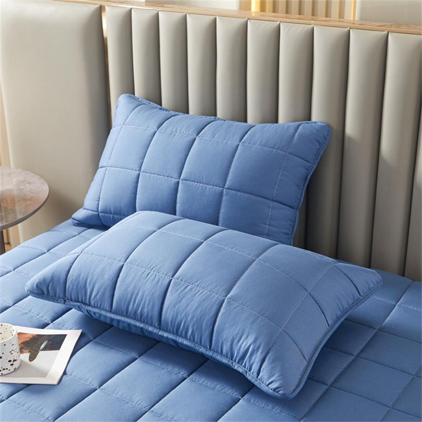 2 шт. стеганая наволочка, мягкая, утолщенная, однотонная, антиклещевая, антибактериальная, удобная и дышащая наволочка 48x74cm синий
2 шт. стеганая наволочка, мягкая, утолщенная, однотонная, антиклещевая, антибактериальная, удобная и дышащая наволочка 48x74cm синий