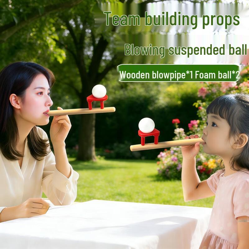 Wooden Floating Ball Game Toy
Wooden Floating Ball Game Toy