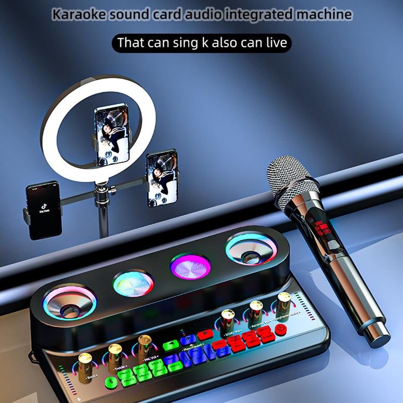 S20 Audio Microphone Sound Card with Dual Microphone for Karaoke Party Soundcard Device Black
S20 Audio Microphone Sound Card with Dual Microphone for Karaoke Party Soundcard Device Black