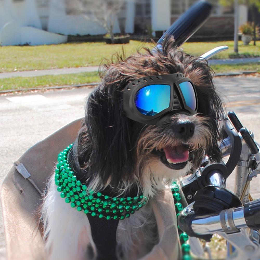Strap Windproof Soft Frame Pet Goggles Dog Supplies Dog Sunglasses Dog Eye Wear Protection синий
Strap Windproof Soft Frame Pet Goggles Dog Supplies Dog Sunglasses Dog Eye Wear Protection синий