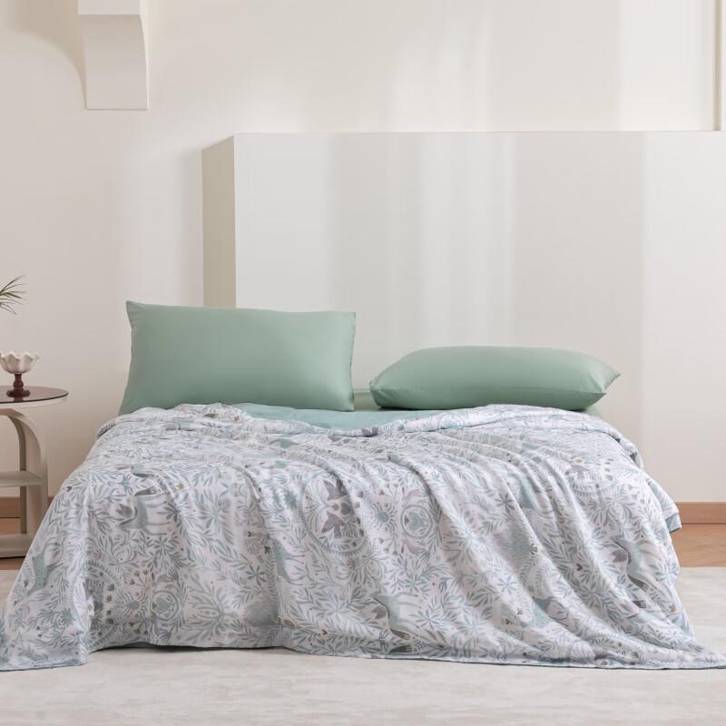 Canhuanianniang Antibacterial Tencel Mulberry Silk Summer Quilt Set
Canhuanianniang Antibacterial Tencel Mulberry Silk Summer Quilt Set