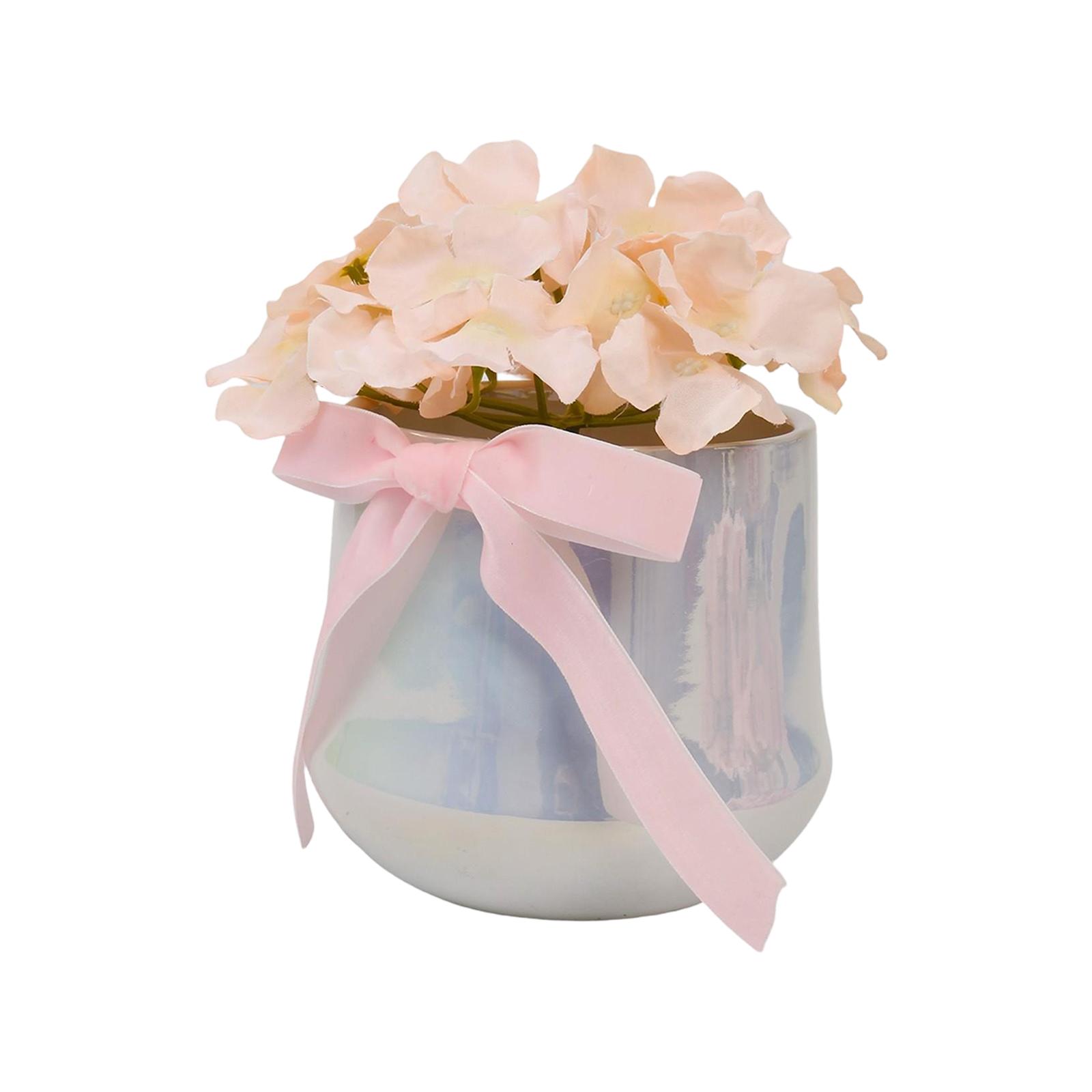 Festive Hydrangea Potted Plant, A Gift For Friends And Holiday Decoration One Size
Festive Hydrangea Potted Plant, A Gift For Friends And Holiday Decoration One Size