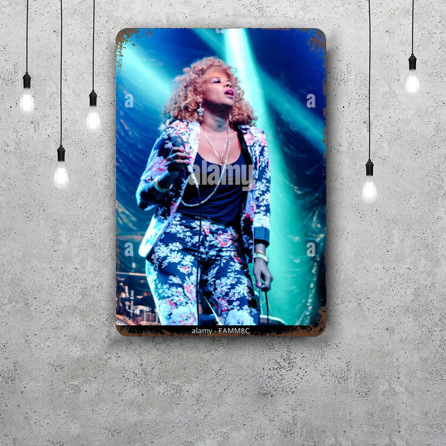 Kelis Retro Vintage Tin Sign Poster Decorative Plaque Metal Plate Wall Decor 20x30cm(7.8x11.8inch)
Kelis Retro Vintage Tin Sign Poster Decorative Plaque Metal Plate Wall Decor 20x30cm(7.8x11.8inch)