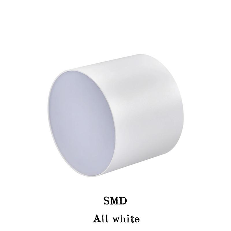 Круглый светодиодный потолочный светильник, потолочный светильник для гостиной, спальни, коридора, антибликовое освещение COB/SMD10W12W15W18W24W, бытовое освещение 10W&6000K
Круглый светодиодный потолочный светильник, потолочный светильник для гостиной, спальни, коридора, антибликовое освещение COB/SMD10W12W15W18W24W, бытовое освещение 10W&6000K