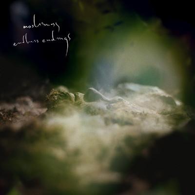 CD MOSHIMOSS - endless endings N66CD004 nothings66 2013 Japan Dance & Electronica Used
CD MOSHIMOSS - endless endings N66CD004 nothings66 2013 Japan Dance & Electronica Used