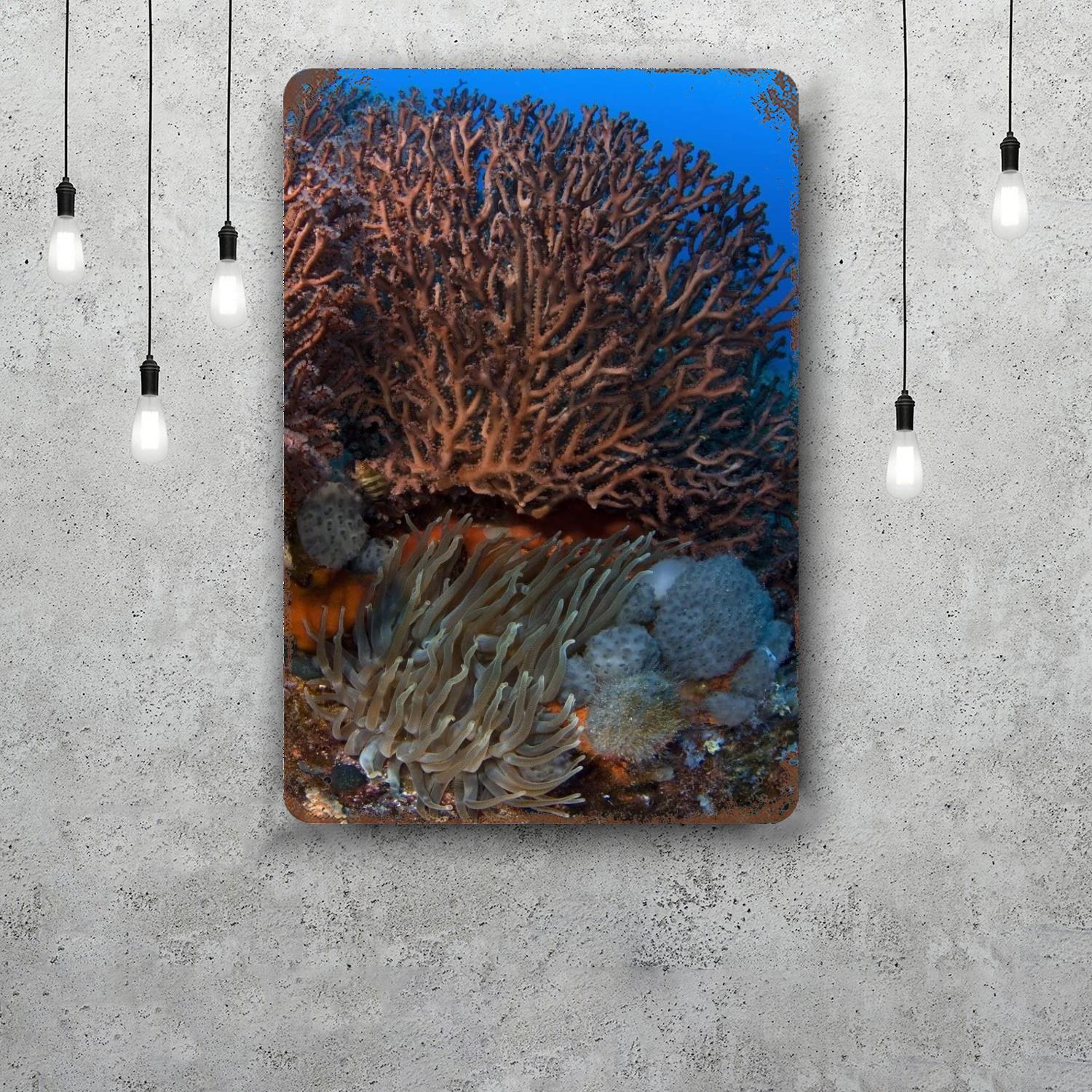 sea anemone Retro Vintage Tin Sign Poster Decorative Plaque Metal Plate Wall Decor 20x30cm(7.8x11.8inch)
sea anemone Retro Vintage Tin Sign Poster Decorative Plaque Metal Plate Wall Decor 20x30cm(7.8x11.8inch)