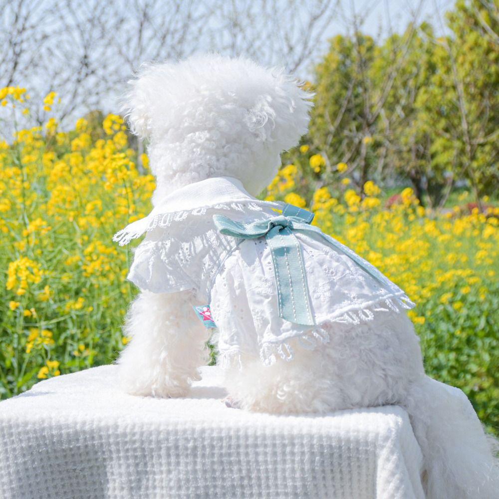 Skin-friendly Puppy Skirt White Pet Skirt Pet Clothes Spring Cat Dog Dress Spring/summer M білий
Skin-friendly Puppy Skirt White Pet Skirt Pet Clothes Spring Cat Dog Dress Spring/summer M білий