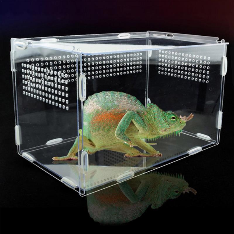 Transparent Acrylic Amphibian Insect Reptile Breeding Feeding Box with Air Holes Lightweight Feeding Case Pet Products for Snake
Transparent Acrylic Amphibian Insect Reptile Breeding Feeding Box with Air Holes Lightweight Feeding Case Pet Products for Snake