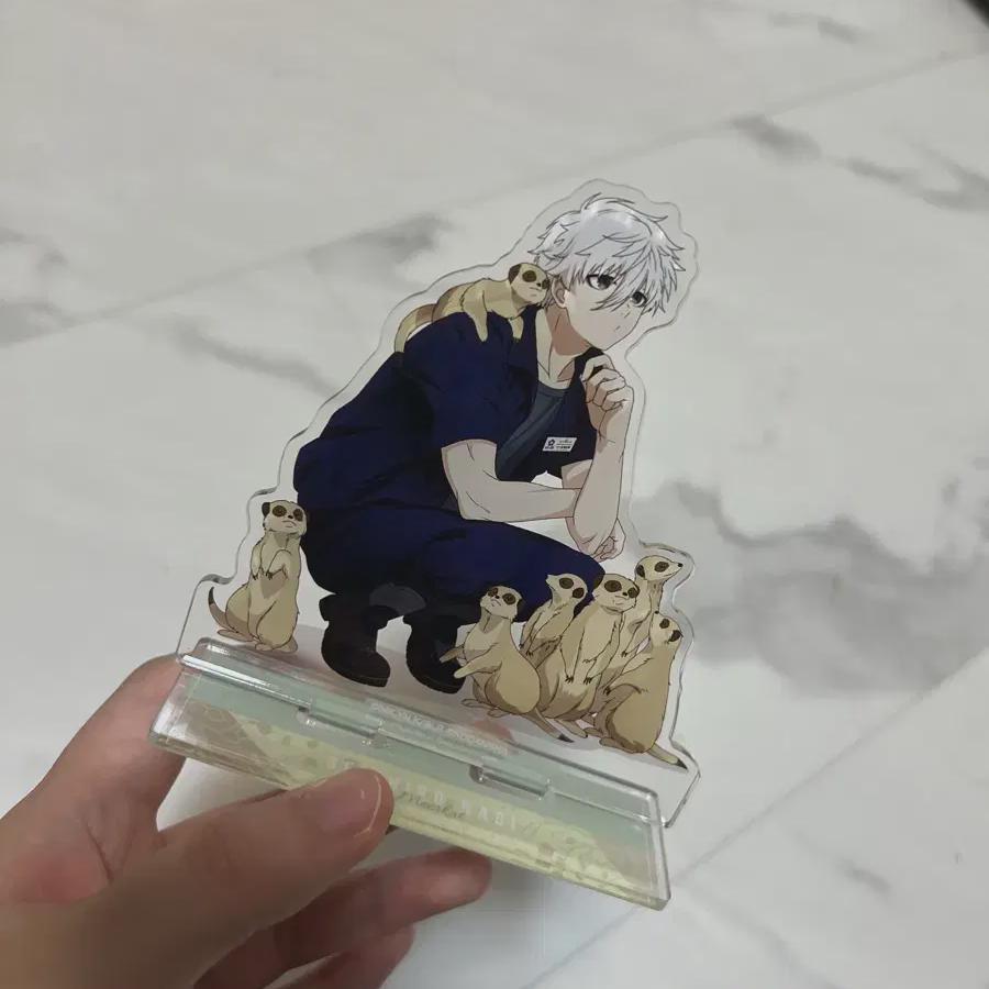 Зоопарк Голубая скала Наги Сейдзиро Большой акрил
Зоопарк Голубая скала Наги Сейдзиро Большой акрил