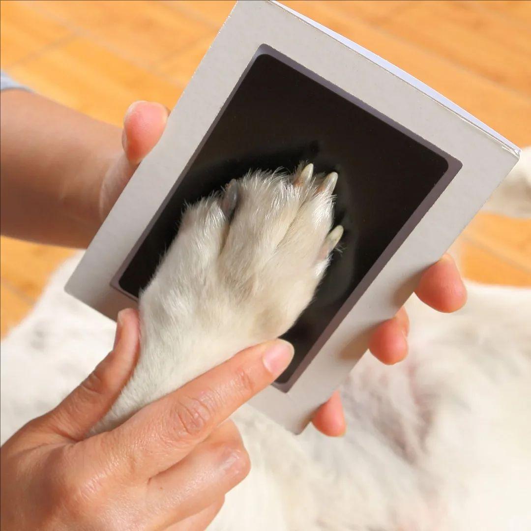 Pet Paw Print Clean Touch Ink pad safe Non-toxic dogs cats Newborn Baby Handprint Footprint Souvenir Wash Free Inkless Ink Pad as shown
Pet Paw Print Clean Touch Ink pad safe Non-toxic dogs cats Newborn Baby Handprint Footprint Souvenir Wash Free Inkless Ink Pad as shown