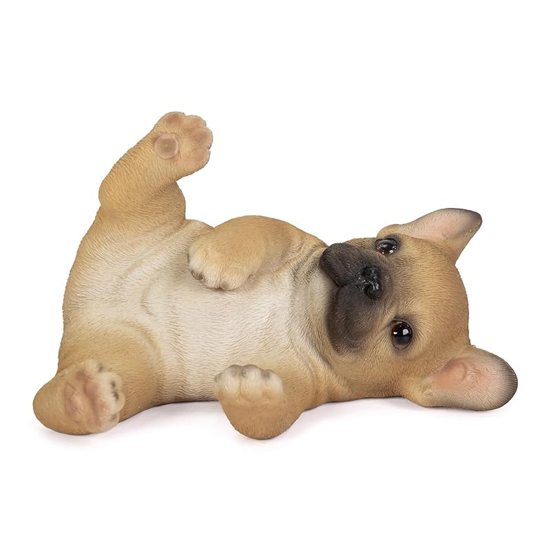 Woobia french bulldog smartphone stand 13×8.5×7.5cm doll figure ornament animal animal garden decoration dog dog H22141
Woobia french bulldog smartphone stand 13×8.5×7.5cm doll figure ornament animal animal garden decoration dog dog H22141