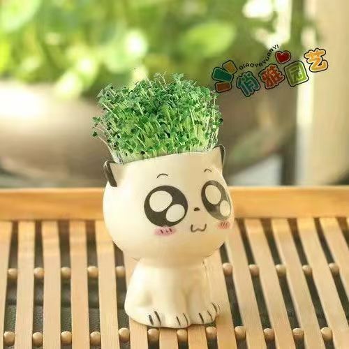 Small Potted Plant Desk Ornament For Indoor One Size
Small Potted Plant Desk Ornament For Indoor One Size